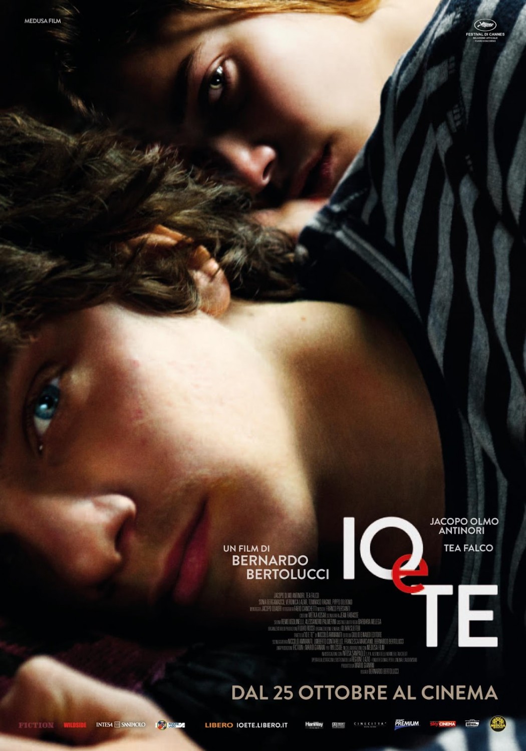 Extra Large Movie Poster Image for Io e te 