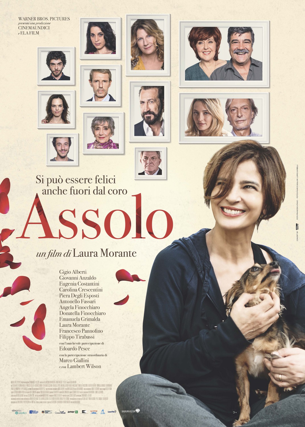 Extra Large Movie Poster Image for Assolo 