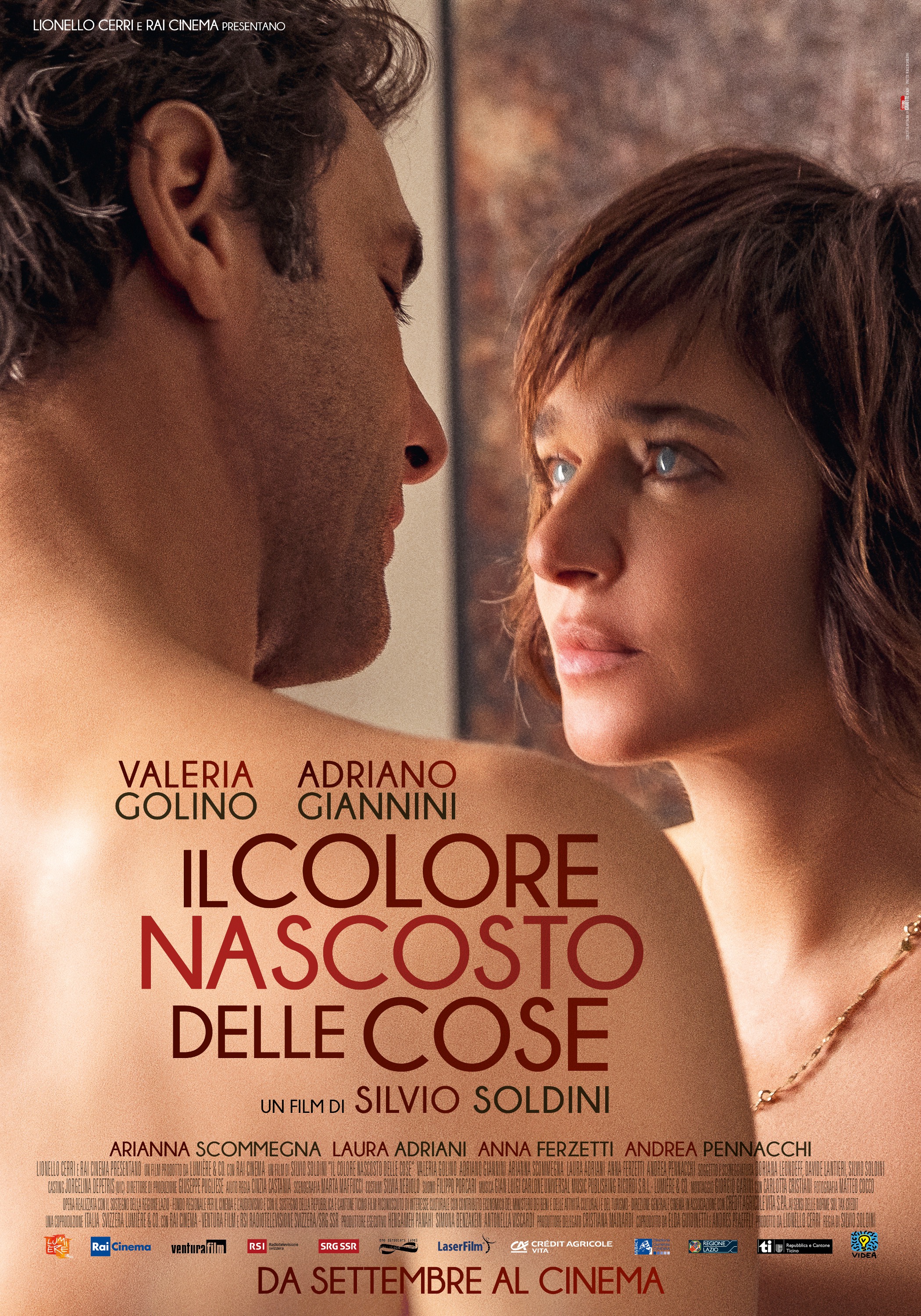 Mega Sized Movie Poster Image for Il colore nascosto delle cose 