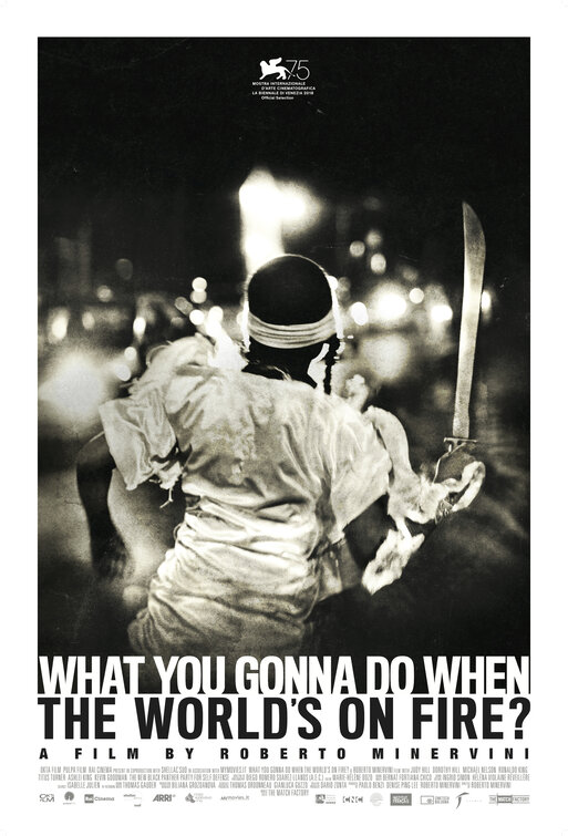 What You Gonna Do When the World's on Fire? Movie Poster