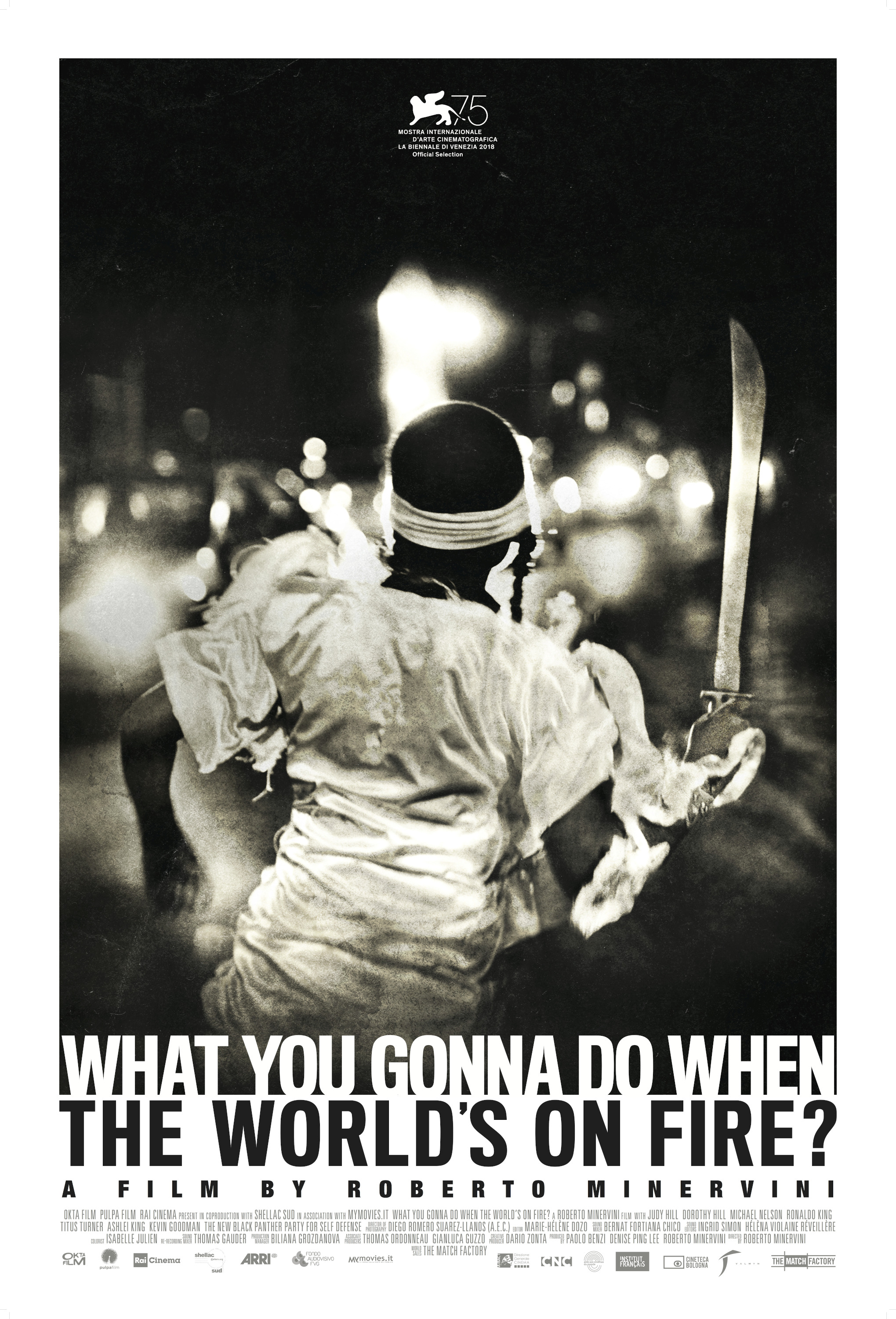 Mega Sized Movie Poster Image for What You Gonna Do When the World's on Fire? 