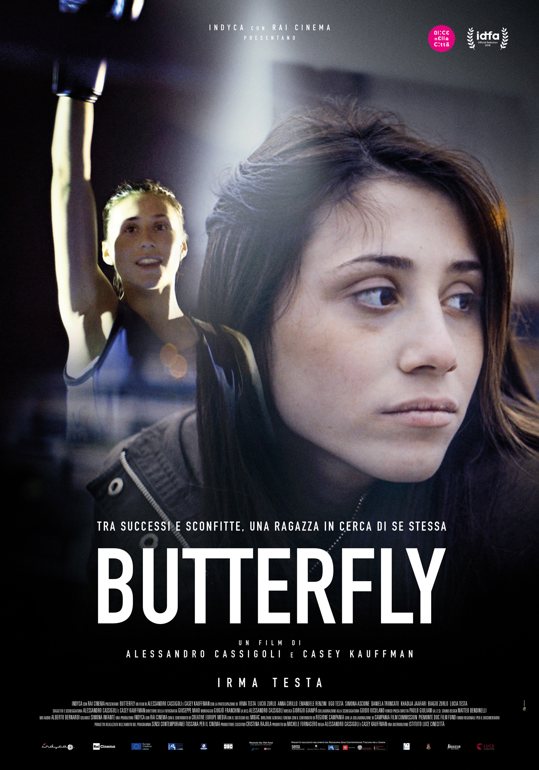 Mega Sized Movie Poster Image for Butterfly 