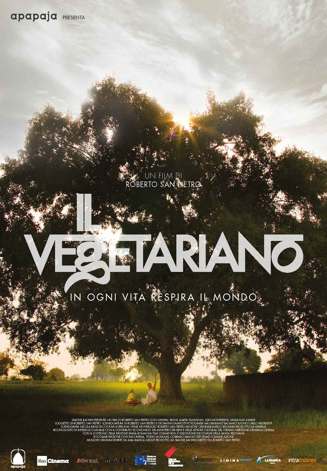 Extra Large Movie Poster Image for Il Vegetariano 