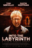 Into the Labyrinth (2019) Thumbnail