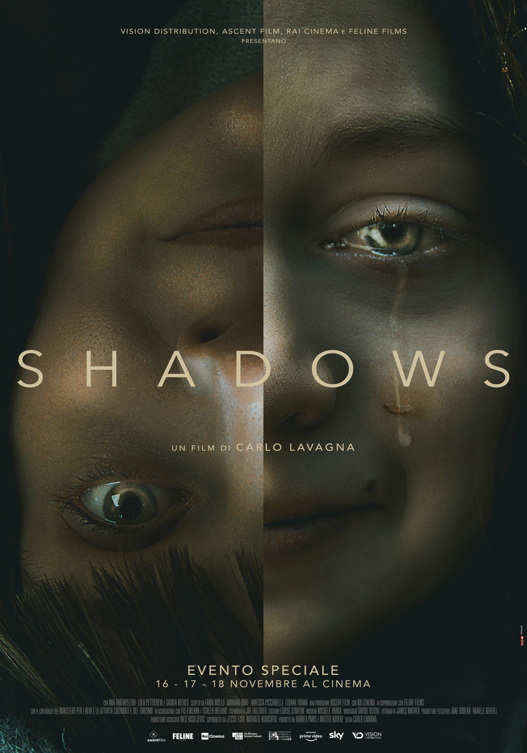 Extra Large Movie Poster Image for Shadows (#2 of 2)