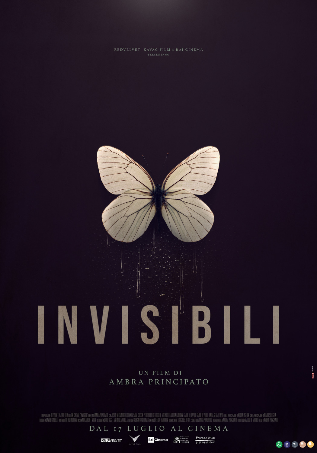 Extra Large Movie Poster Image for Invisibili (#1 of 6)