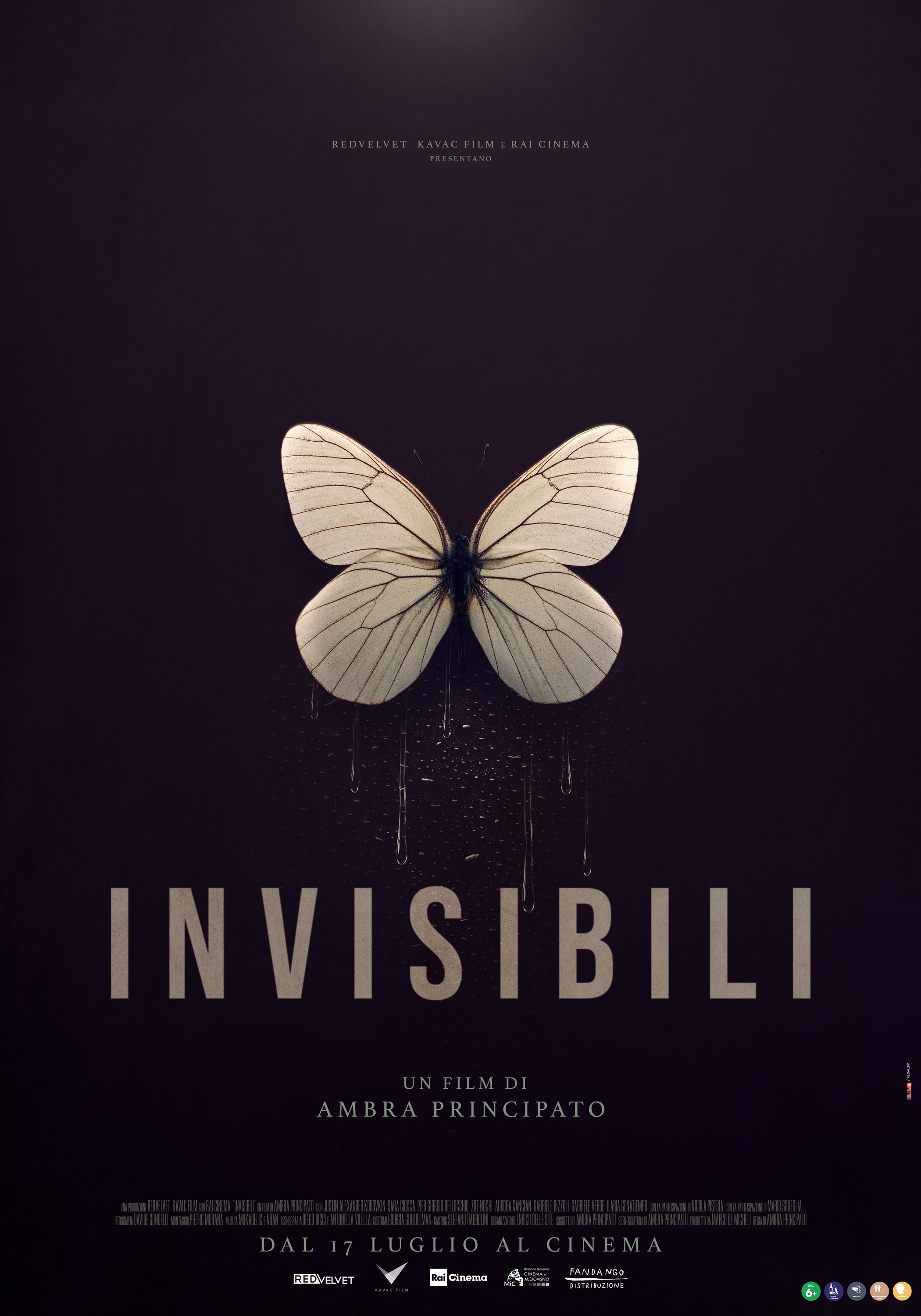 Mega Sized Movie Poster Image for Invisibili (#1 of 6)