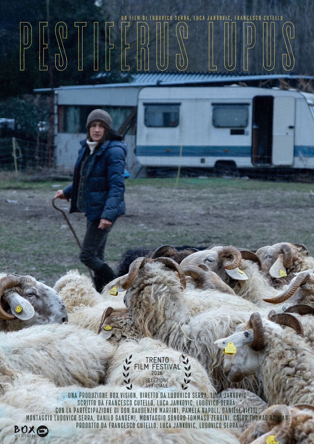 Extra Large Movie Poster Image for Pestiferus Lupus 