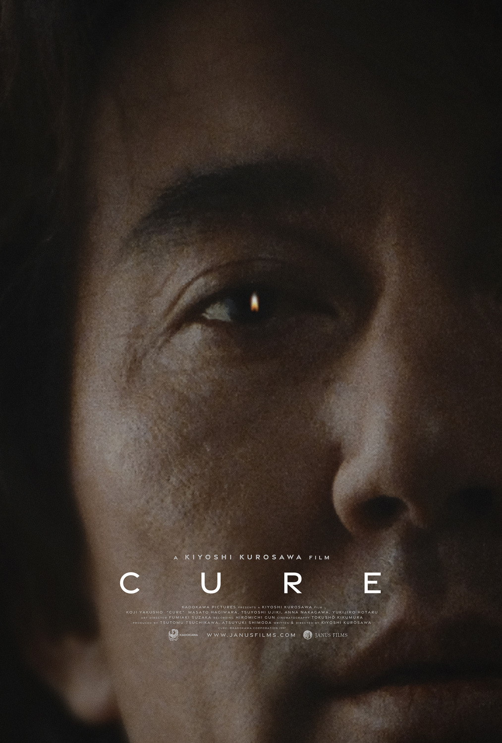 Extra Large Movie Poster Image for Cure 