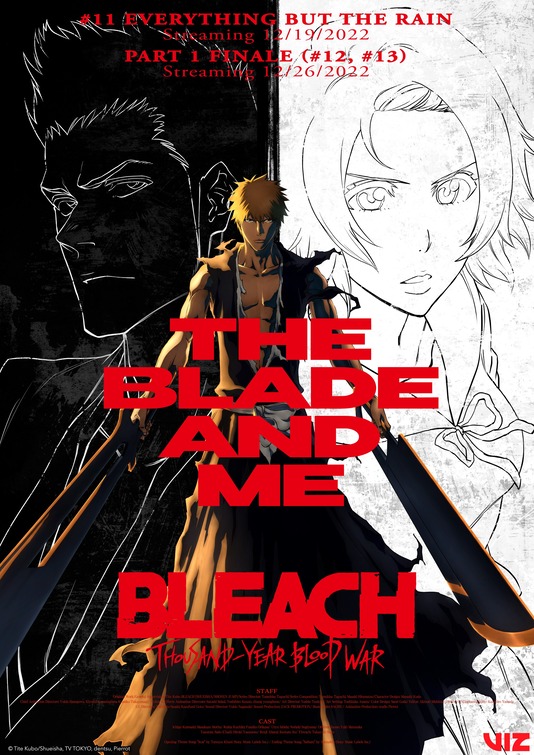 Bleach: Thousand-Year Blood War (TV Series 2022– ) - IMDb