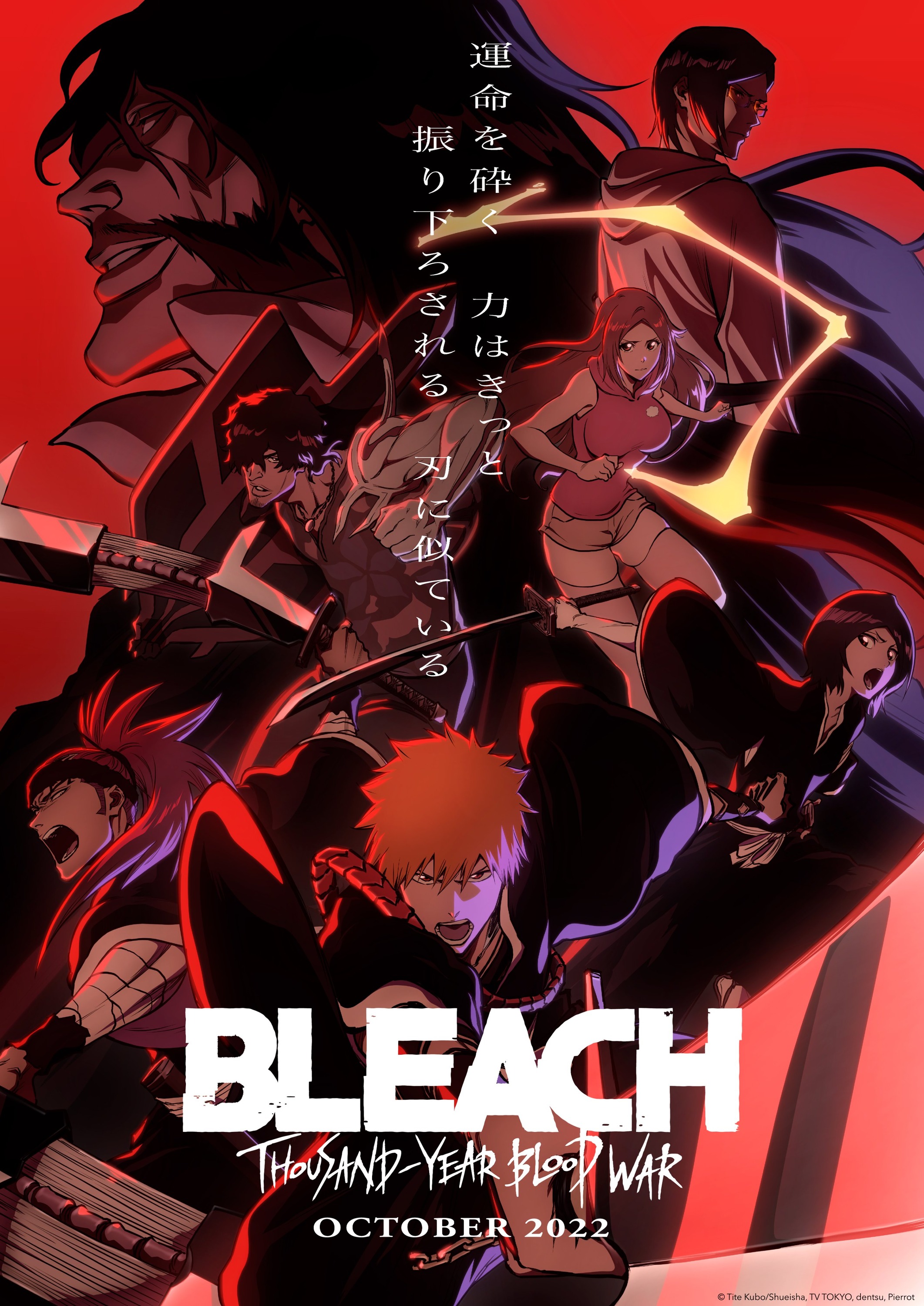 Mega Sized TV Poster Image for Bleach: Thousand Year Blood War (#1 of 7)