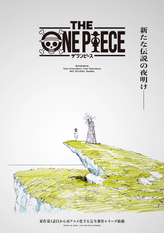 The One Piece Movie Poster