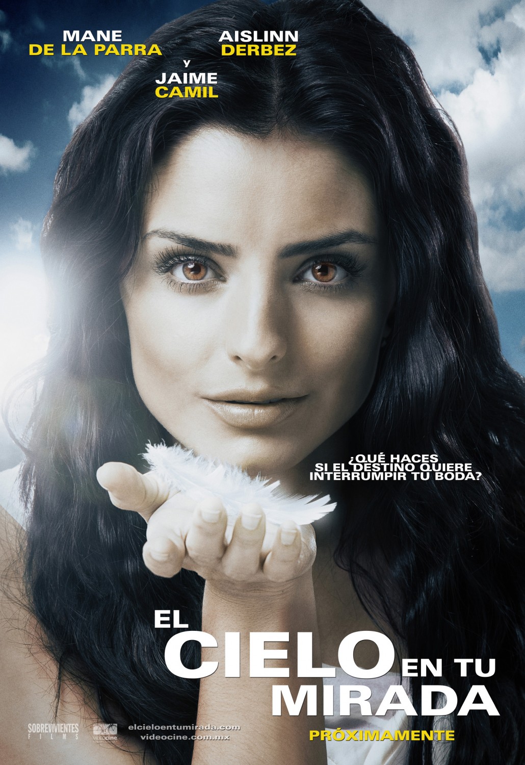 Extra Large Movie Poster Image for El cielo en tu mirada (#1 of 3)