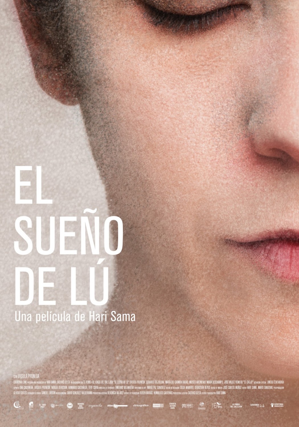 Extra Large Movie Poster Image for El sueño de Lu 