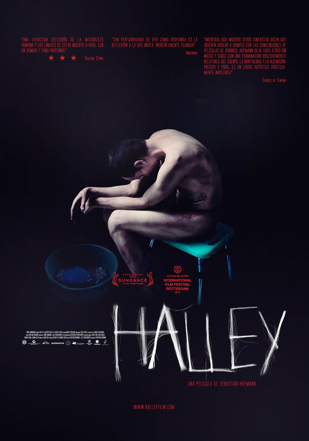 Extra Large Movie Poster Image for Halley (#2 of 2)
