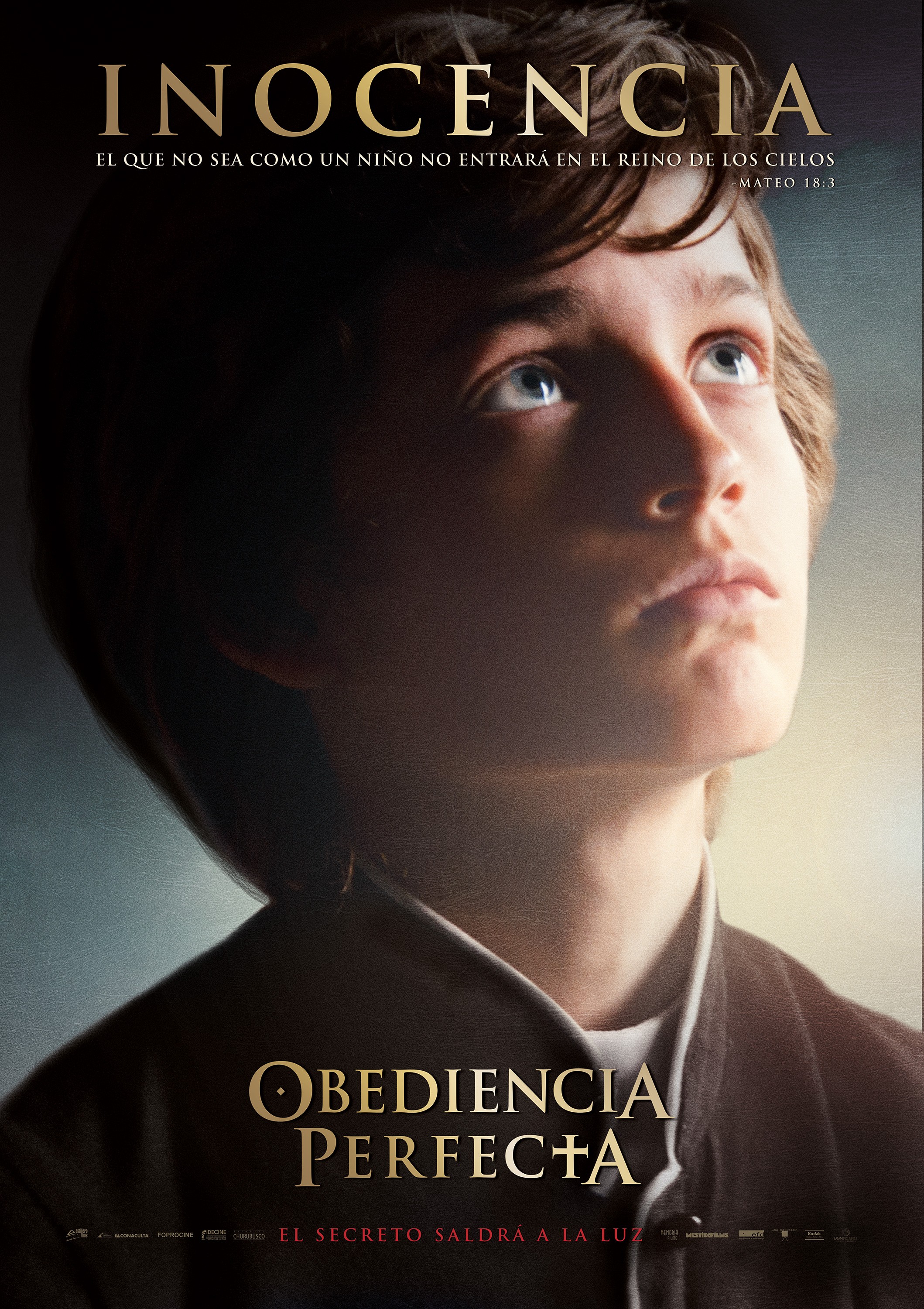 Mega Sized Movie Poster Image for Obediencia Perfecta (#1 of 8)