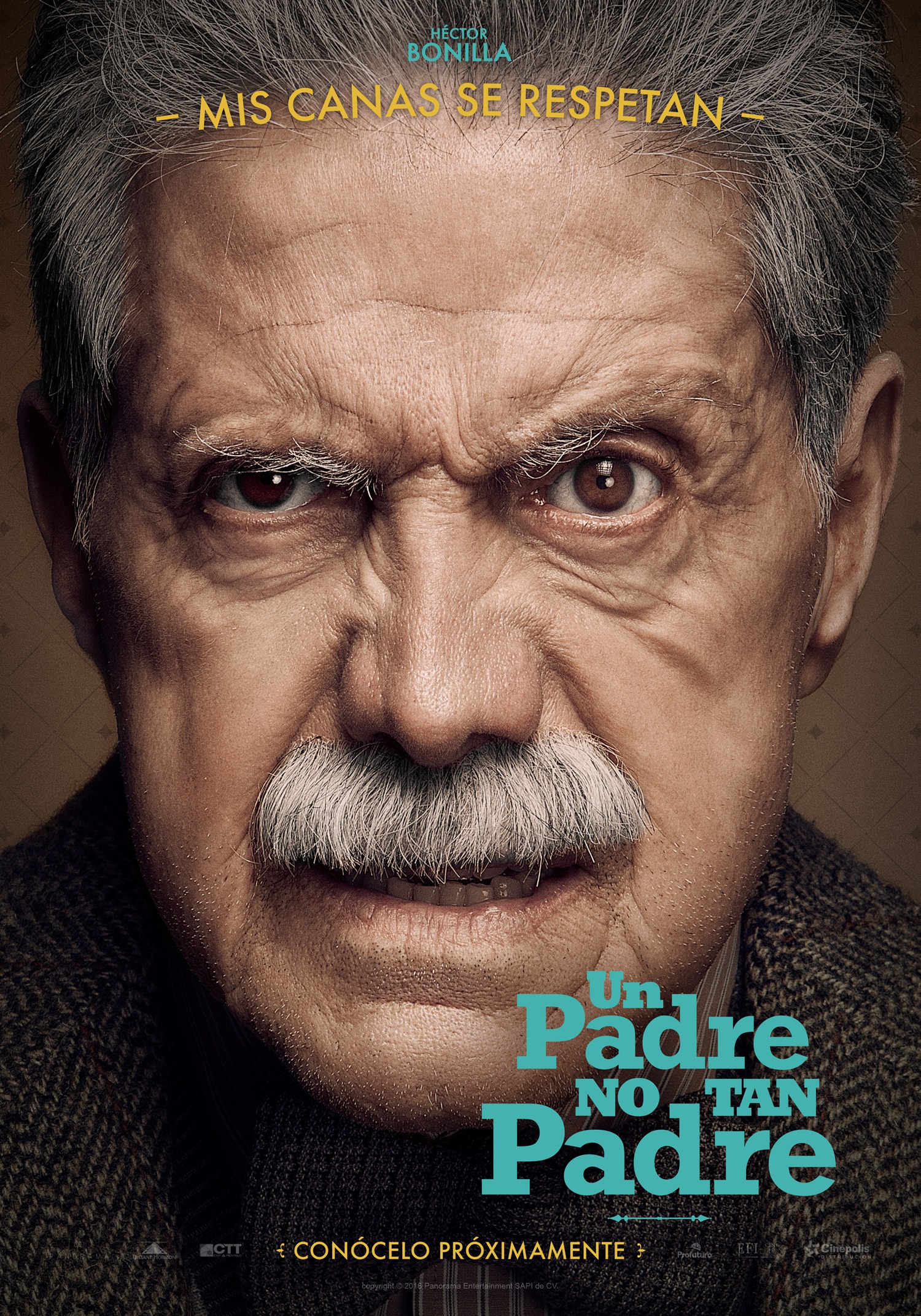 Mega Sized Movie Poster Image for Un Padre No Tan Padre (#7 of 8)