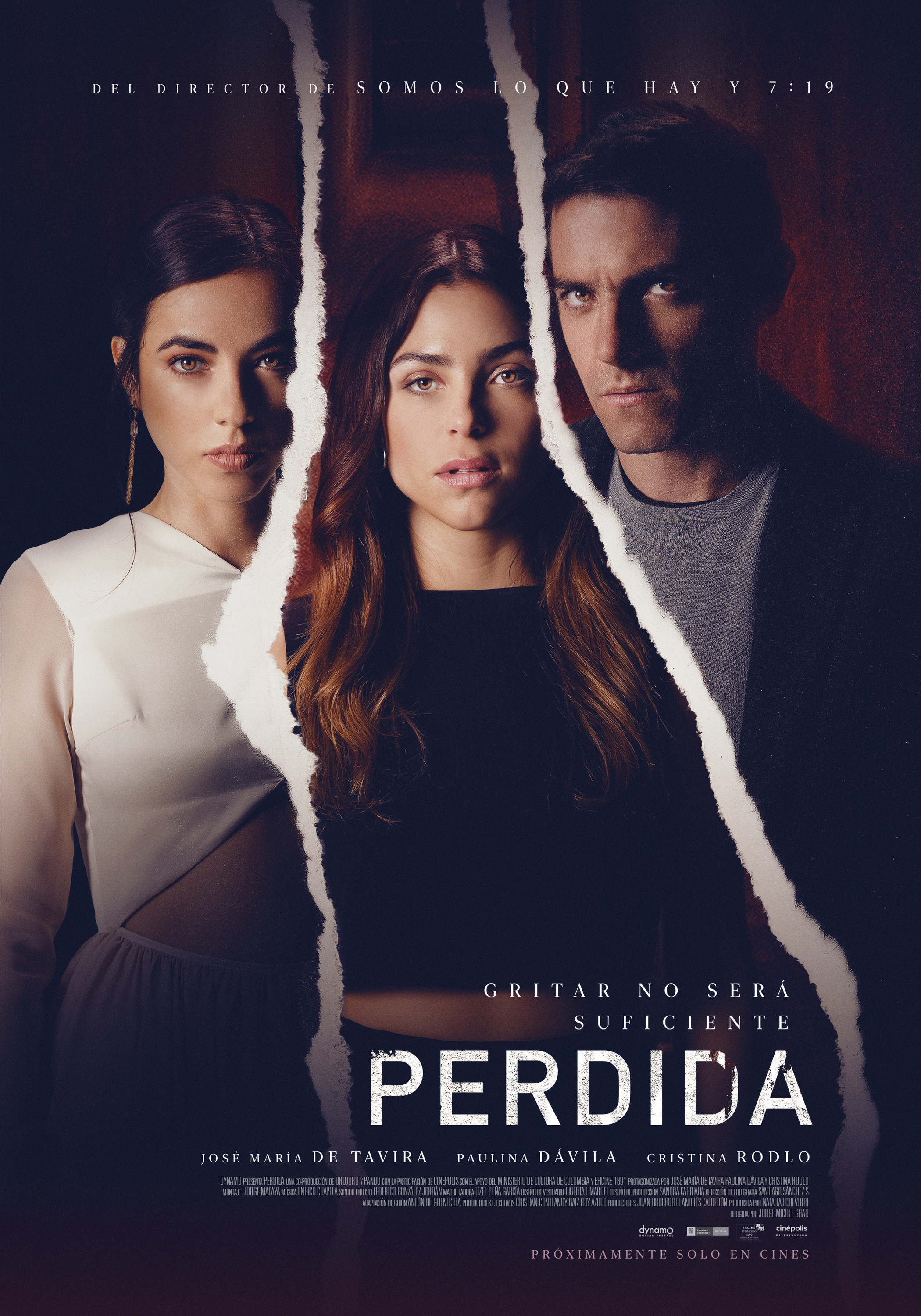 Mega Sized Movie Poster Image for Perdida 