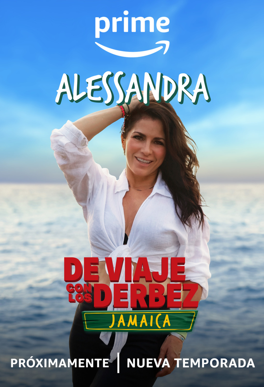 Extra Large TV Poster Image for De Viaje Con Los Derbez (#36 of 44)