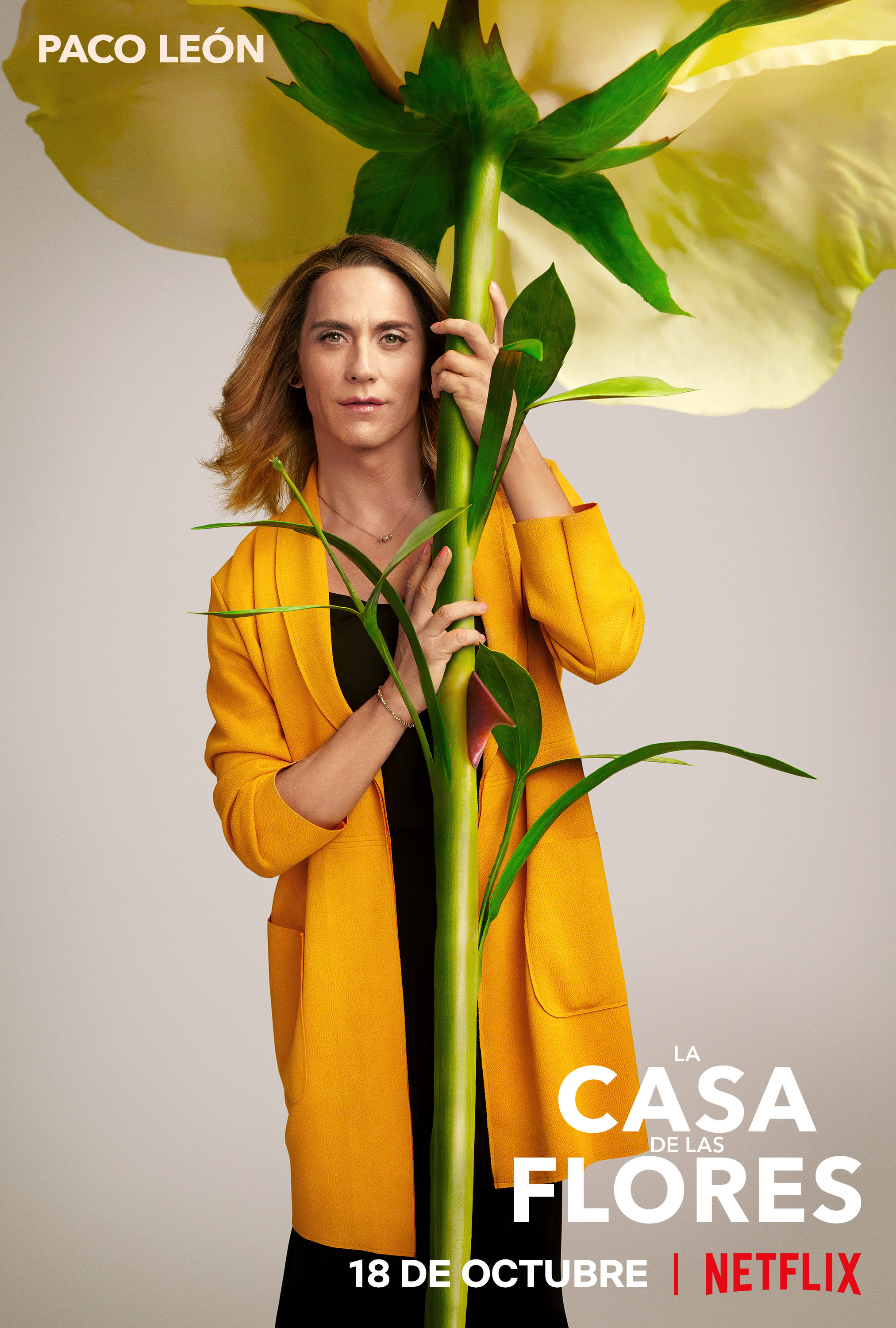 Mega Sized TV Poster Image for La casa de las flores (#12 of 19)