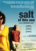 Salt of This Sea (2008) Thumbnail