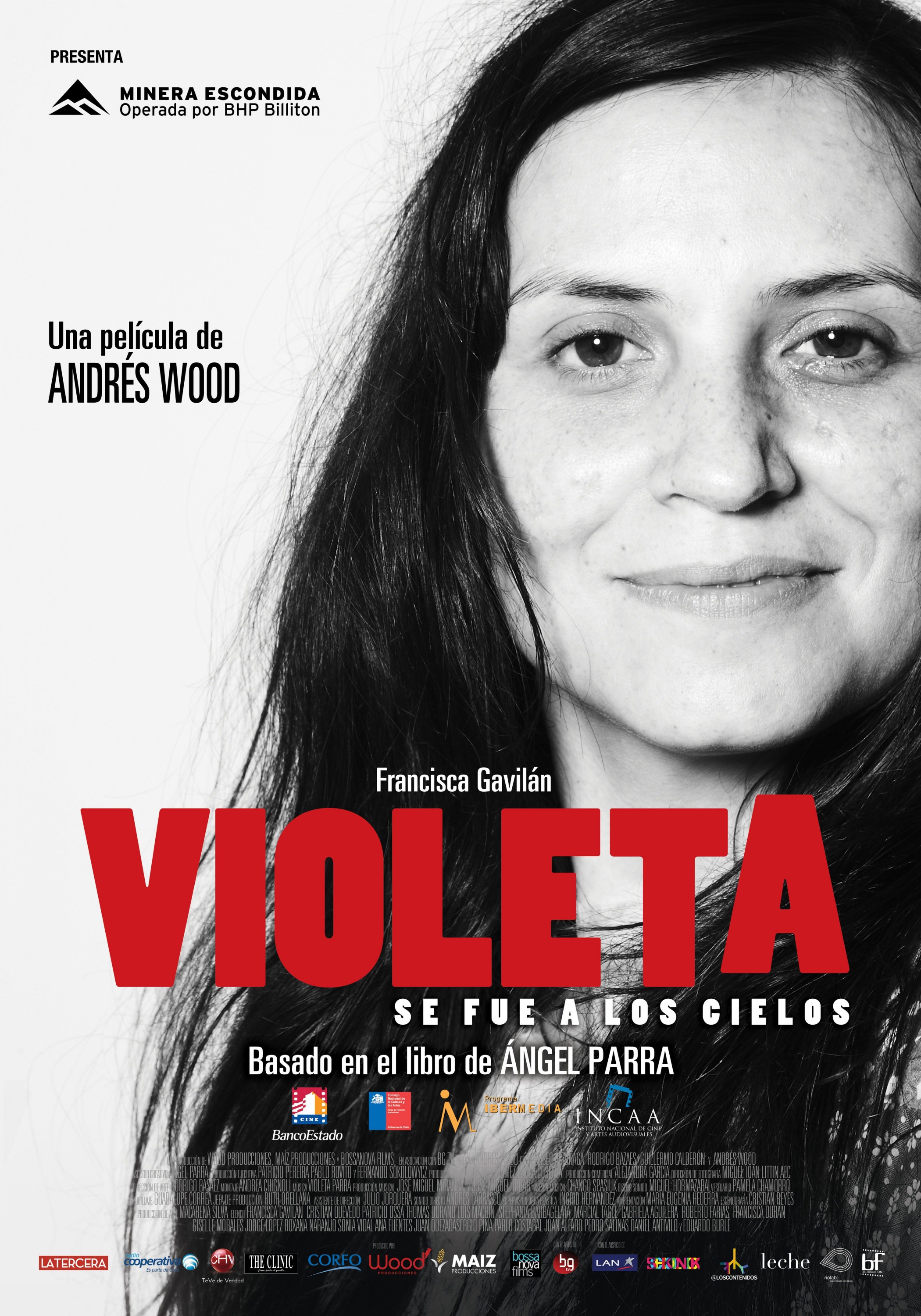 Mega Sized Movie Poster Image for Violeta se fue a los cielos (#1 of 2)