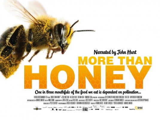 More Than Honey Movie Poster