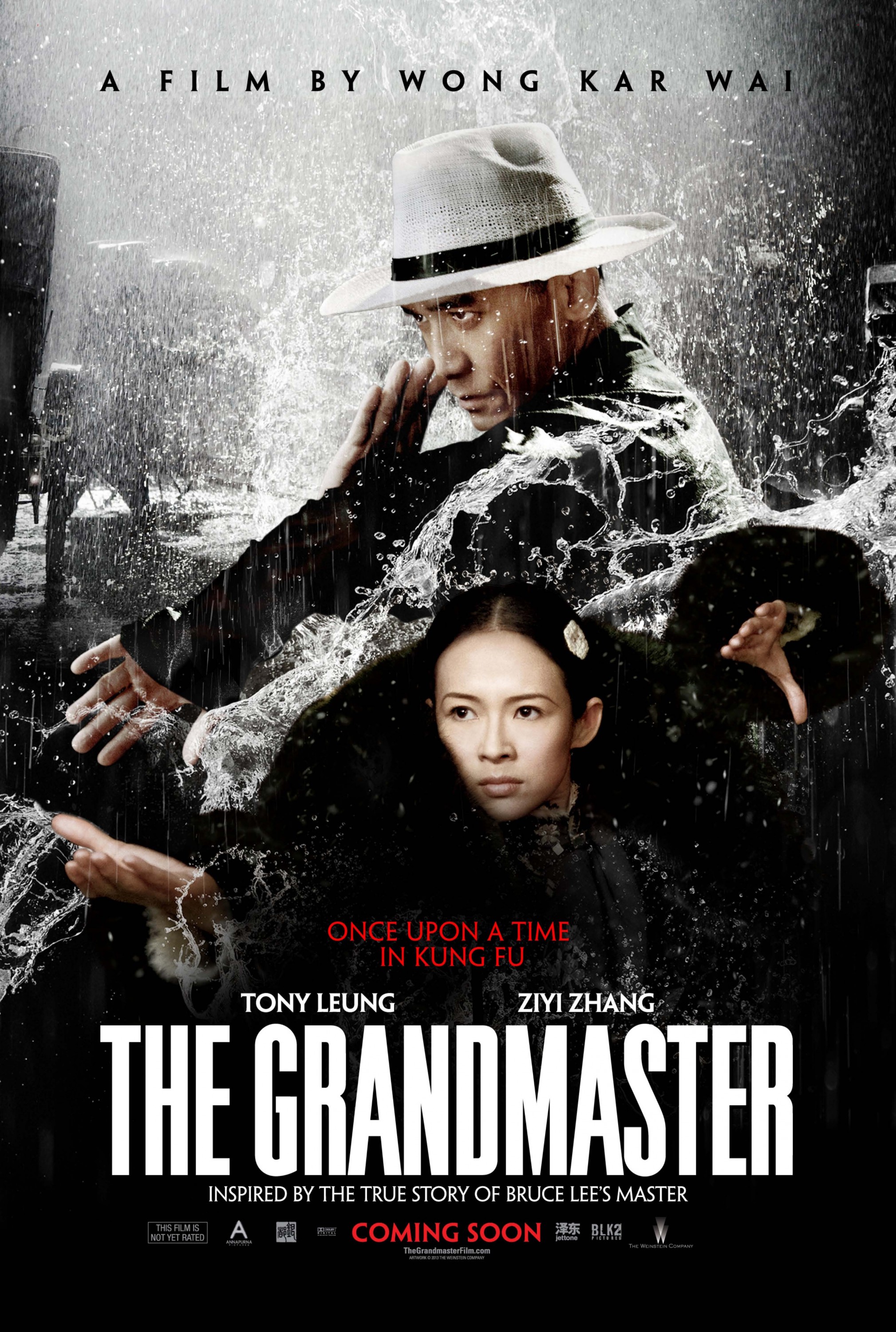 Mega Sized Movie Poster Image for Yi dai zong shi (#5 of 12)