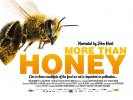 More Than Honey (2012) Thumbnail