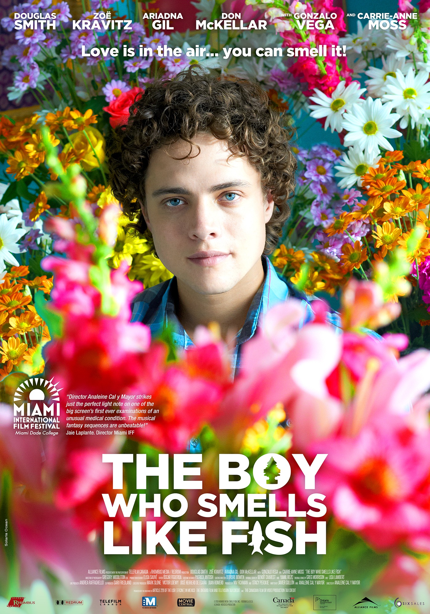 Mega Sized Movie Poster Image for The Boy Who Smells Like Fish (#1 of 2)