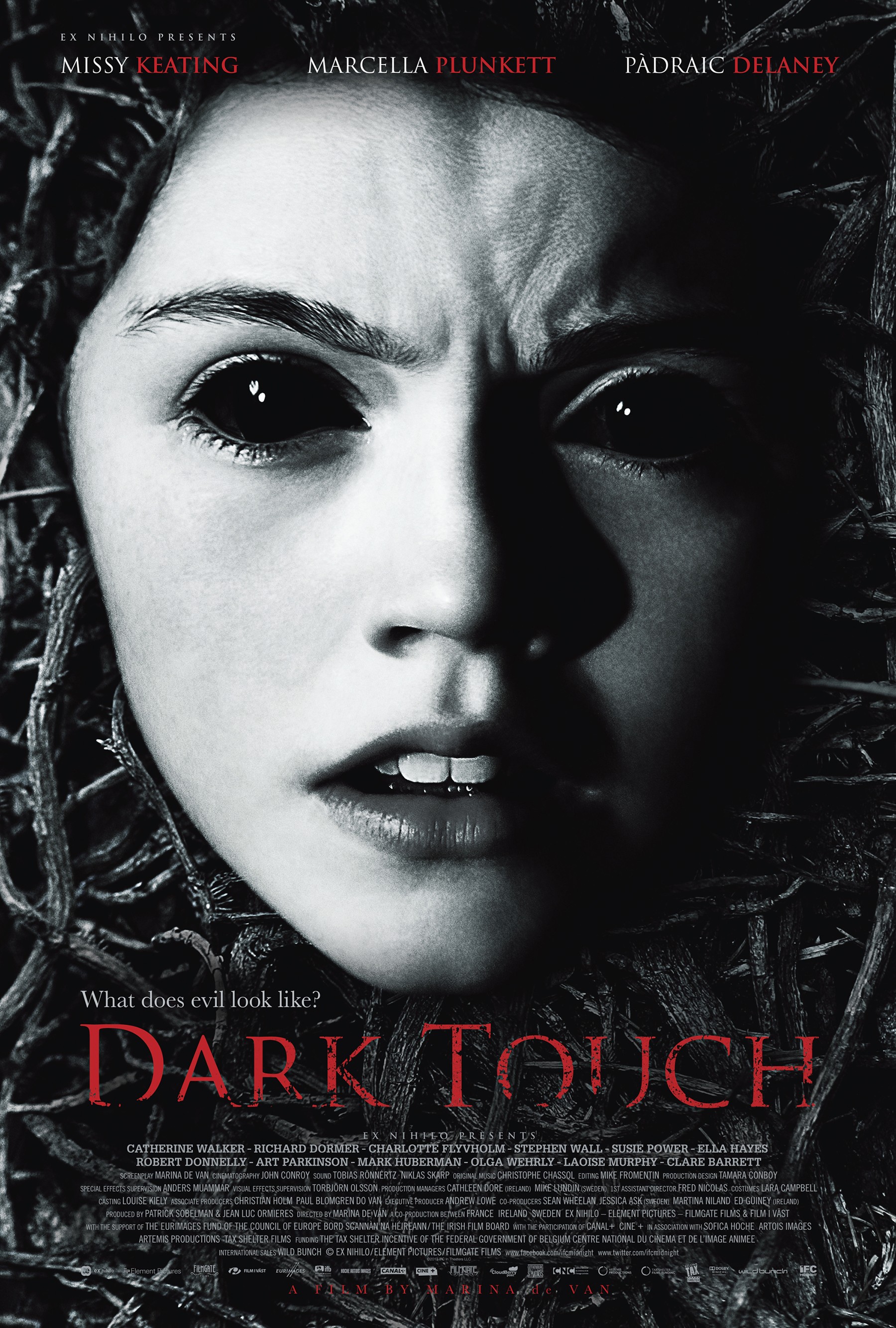 Mega Sized Movie Poster Image for Dark Touch (#1 of 3)