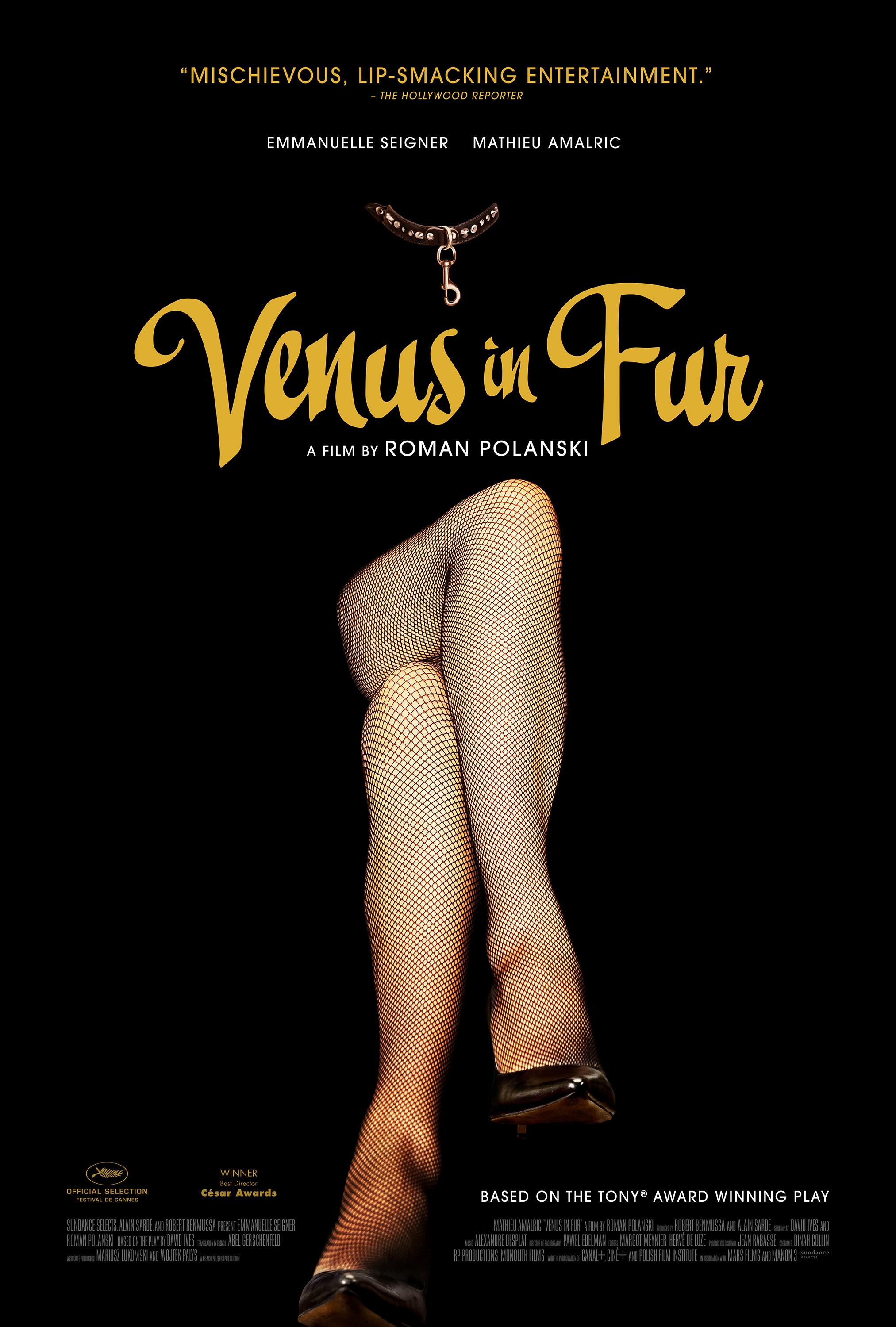Mega Sized Movie Poster Image for La Vénus à la fourrure (#3 of 4)