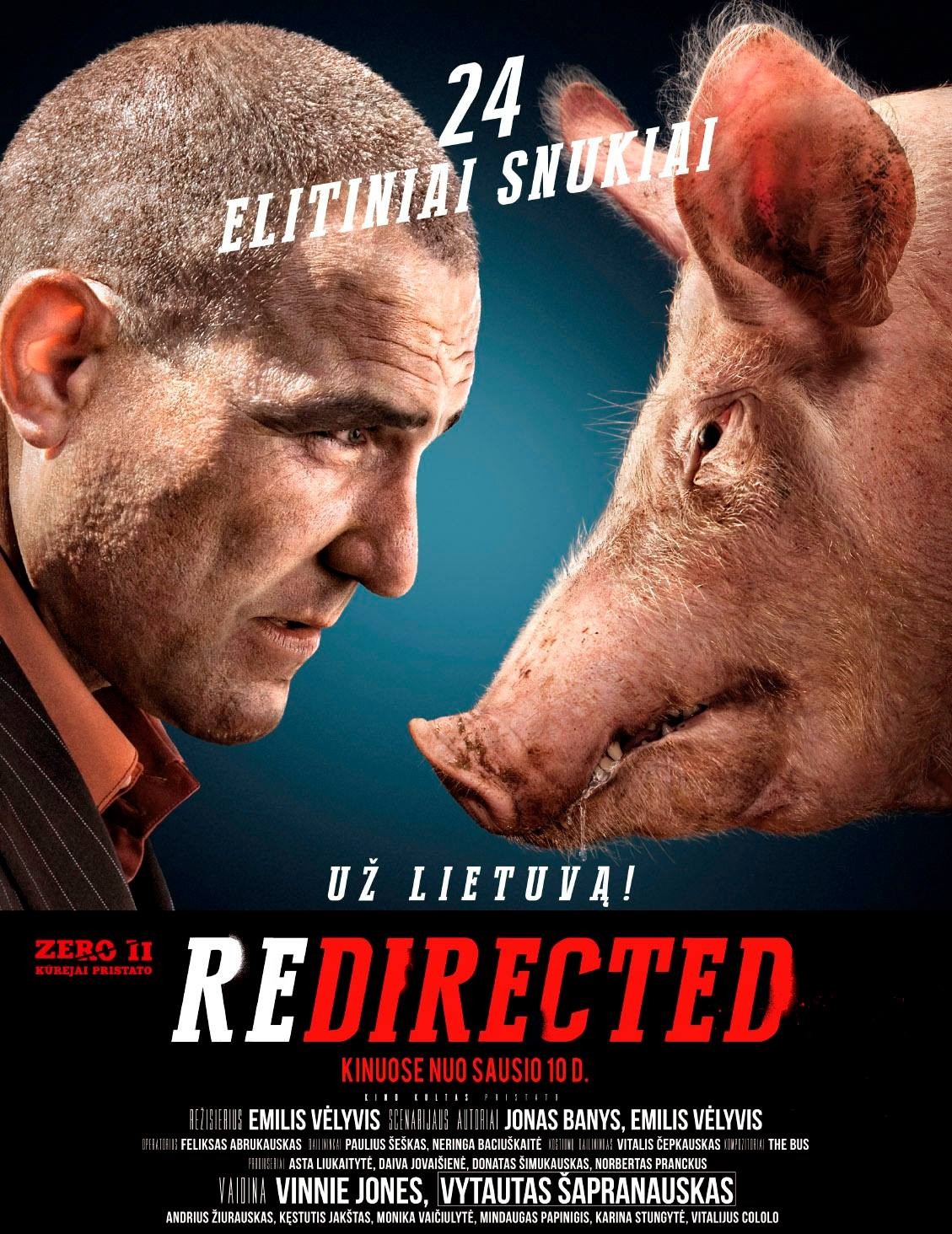Extra Large Movie Poster Image for Redirected (#2 of 8)