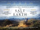 The Salt of the Earth (2014) Thumbnail