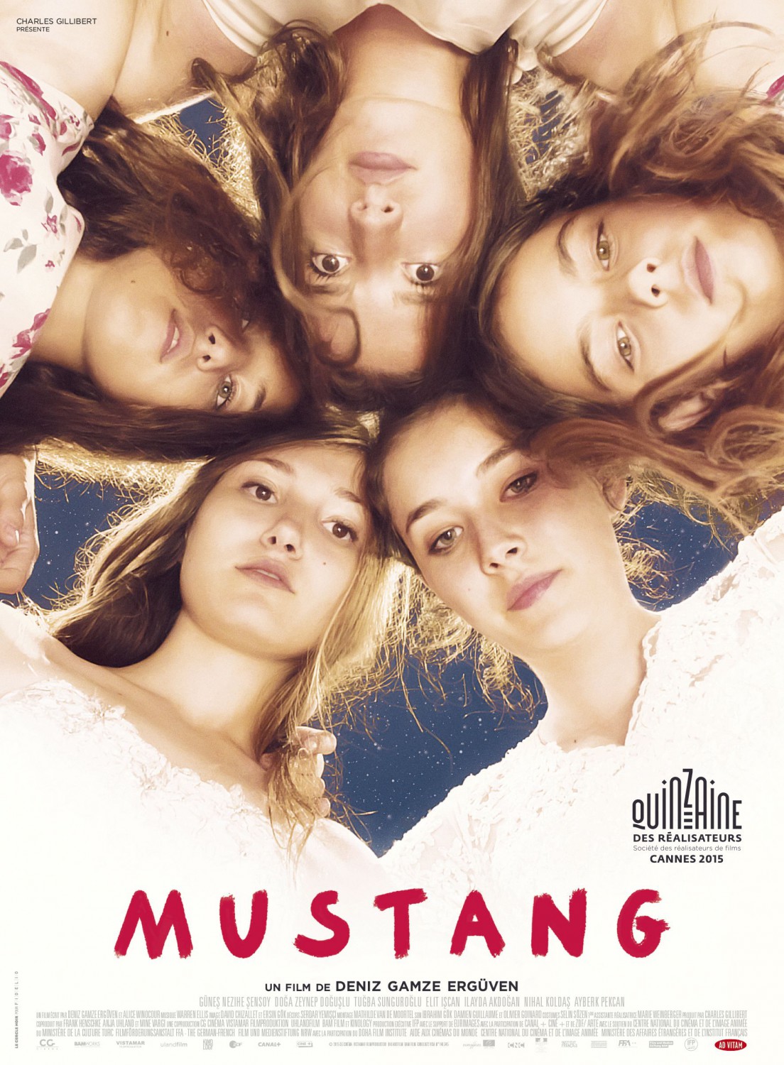 Extra Large Movie Poster Image for Mustang (#1 of 2)