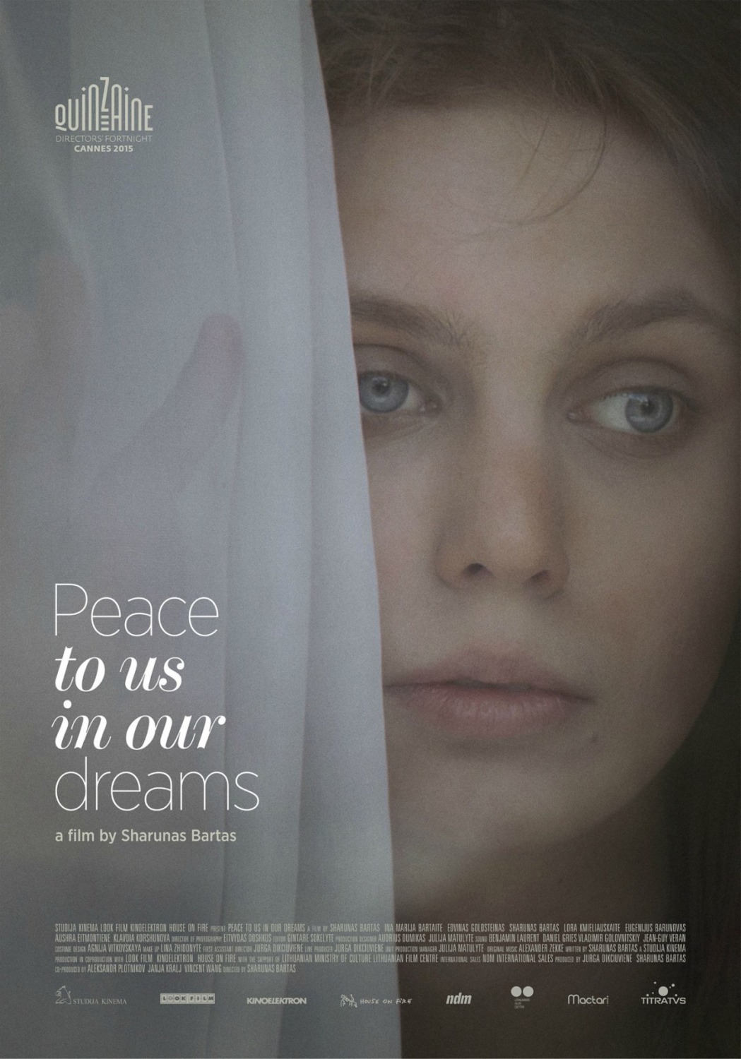 Extra Large Movie Poster Image for Peace to Us in Our Dreams (#1 of 2)