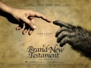 The Brand New Testament (2015) Thumbnail