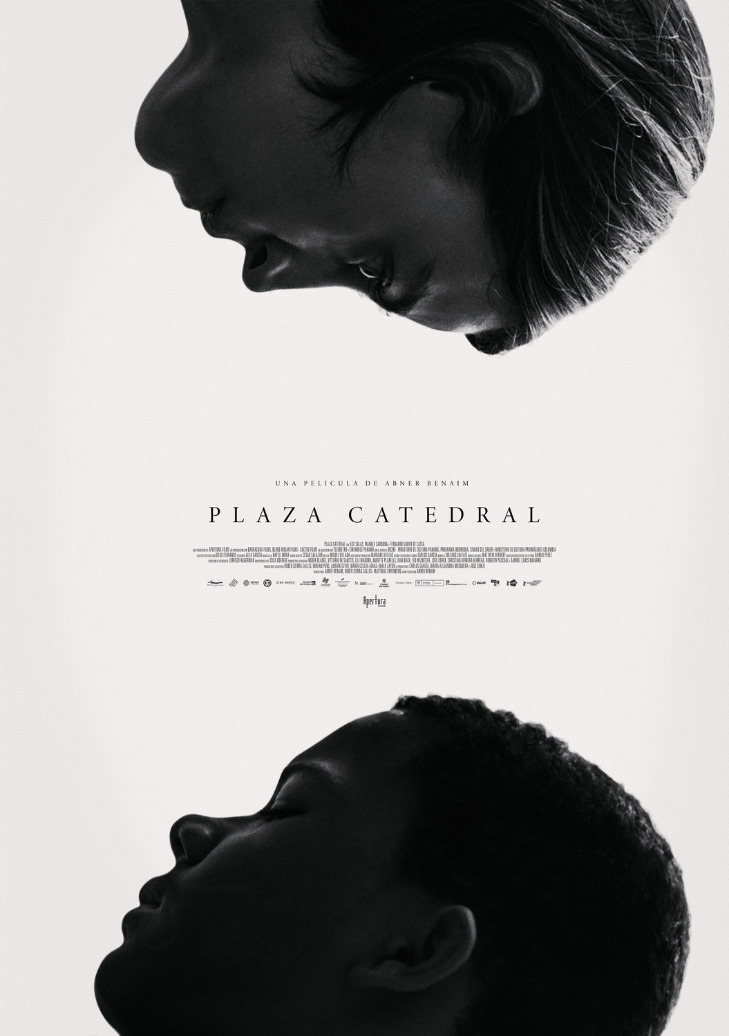 Extra Large Movie Poster Image for Plaza Catedral (#1 of 2)