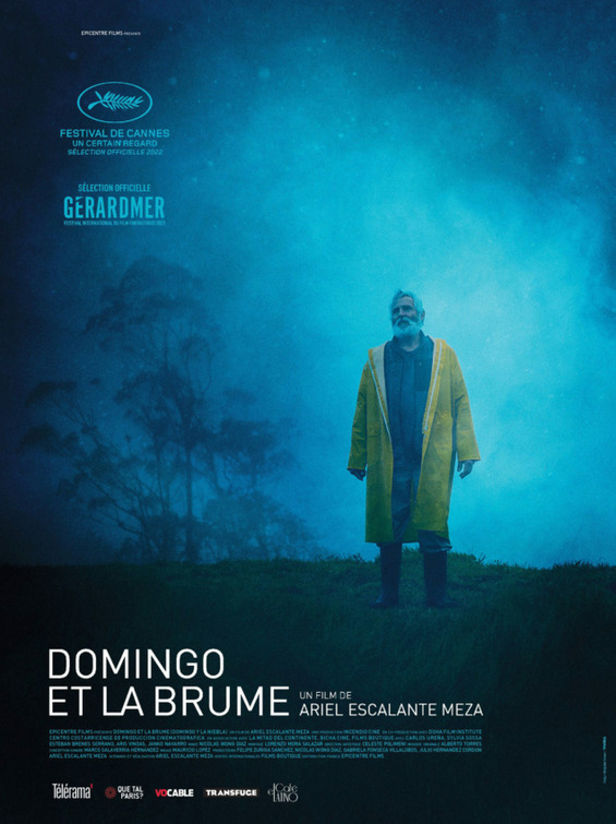 Domingo y la niebla Movie Poster