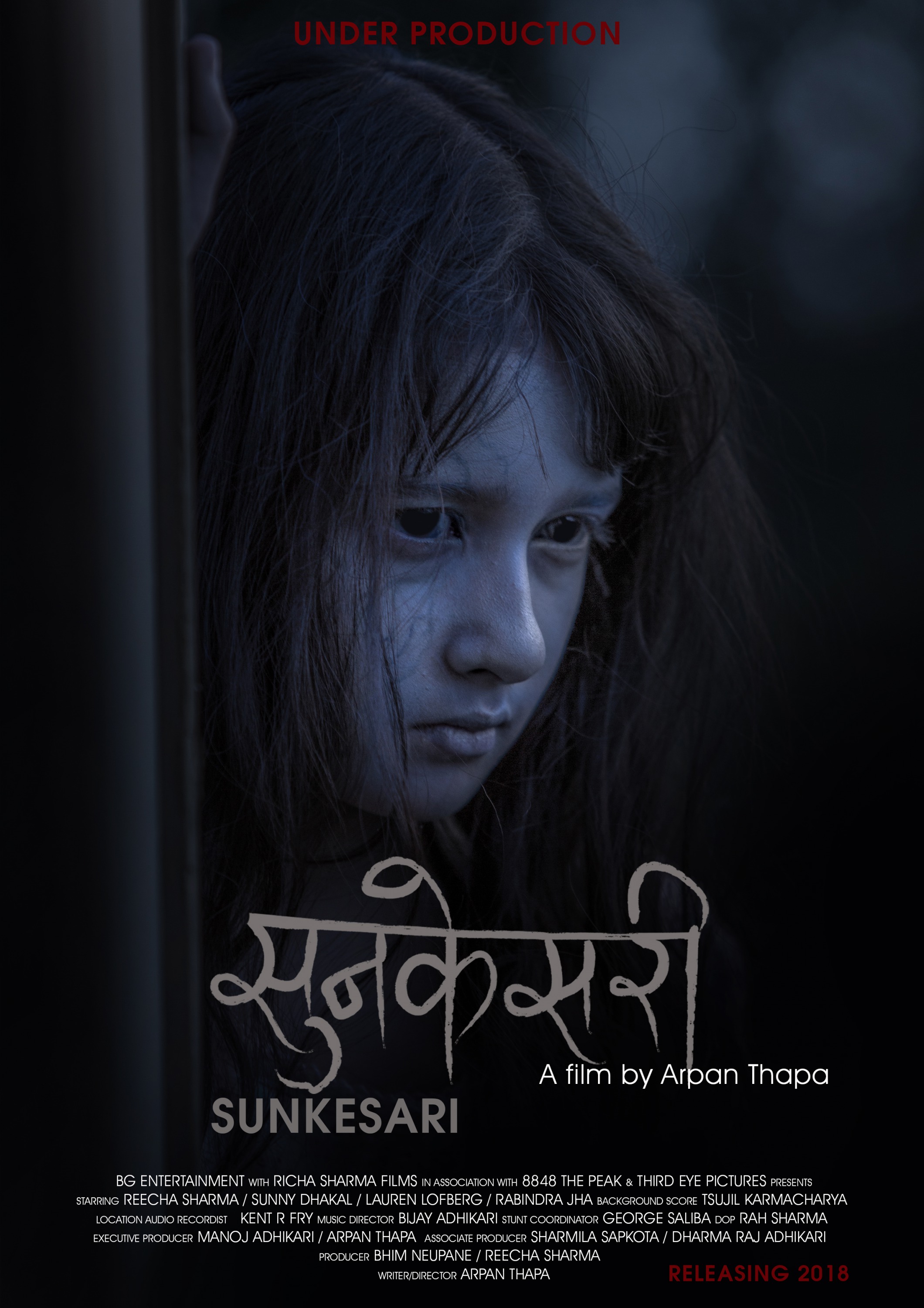 Mega Sized Movie Poster Image for Sunkesari (#2 of 8)