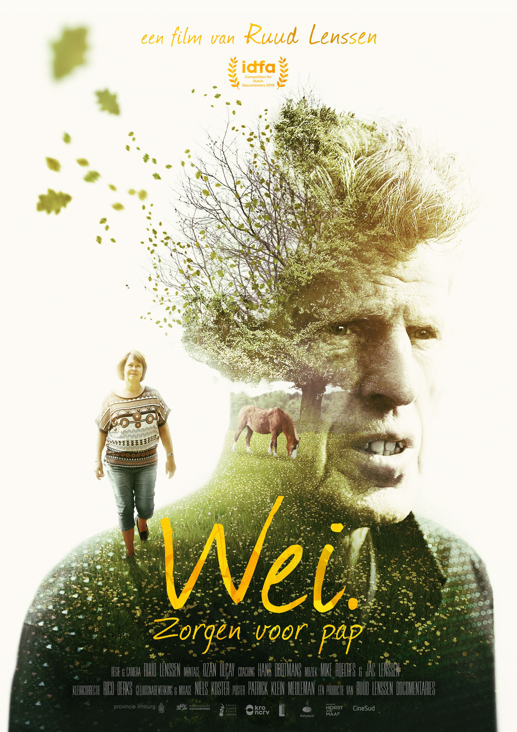 Extra Large Movie Poster Image for Wei 