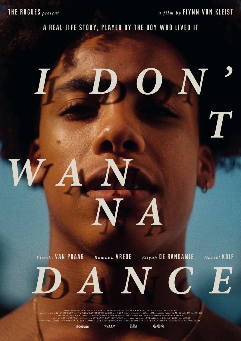 Extra Large Movie Poster Image for I Don't Wanna Dance 