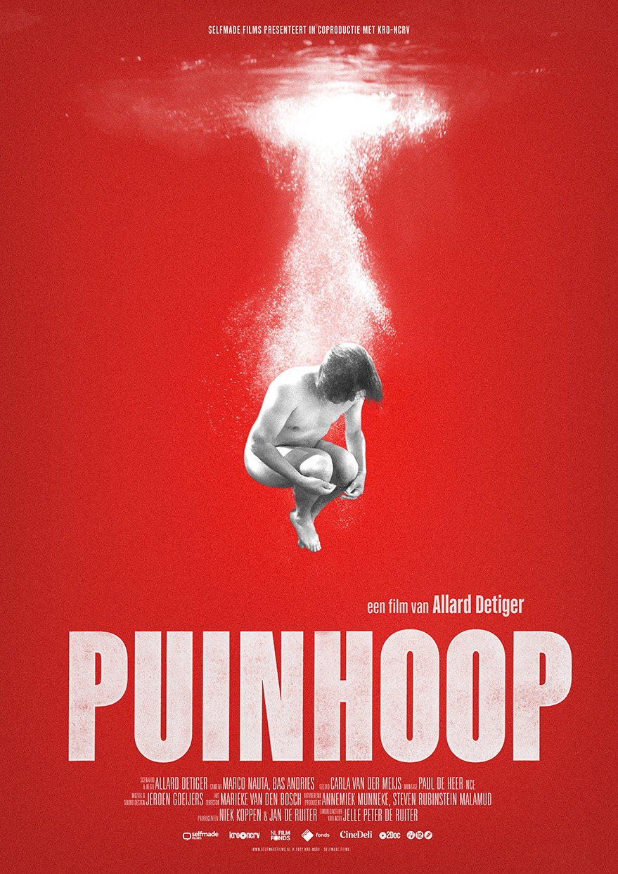 Extra Large Movie Poster Image for Puinhoop 