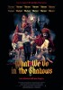 What We Do in the Shadows (2014) Thumbnail