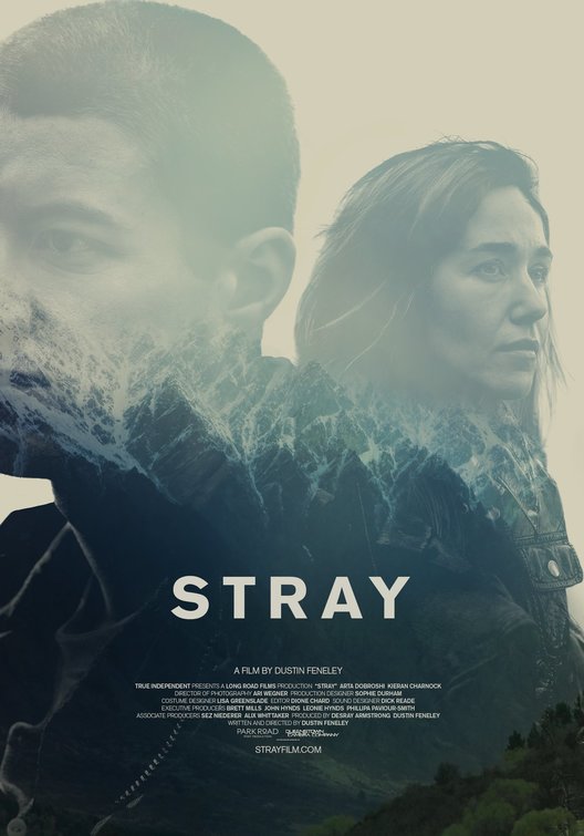 Stray Movie Poster