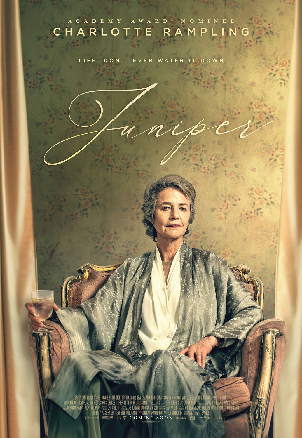 Extra Large Movie Poster Image for Juniper 