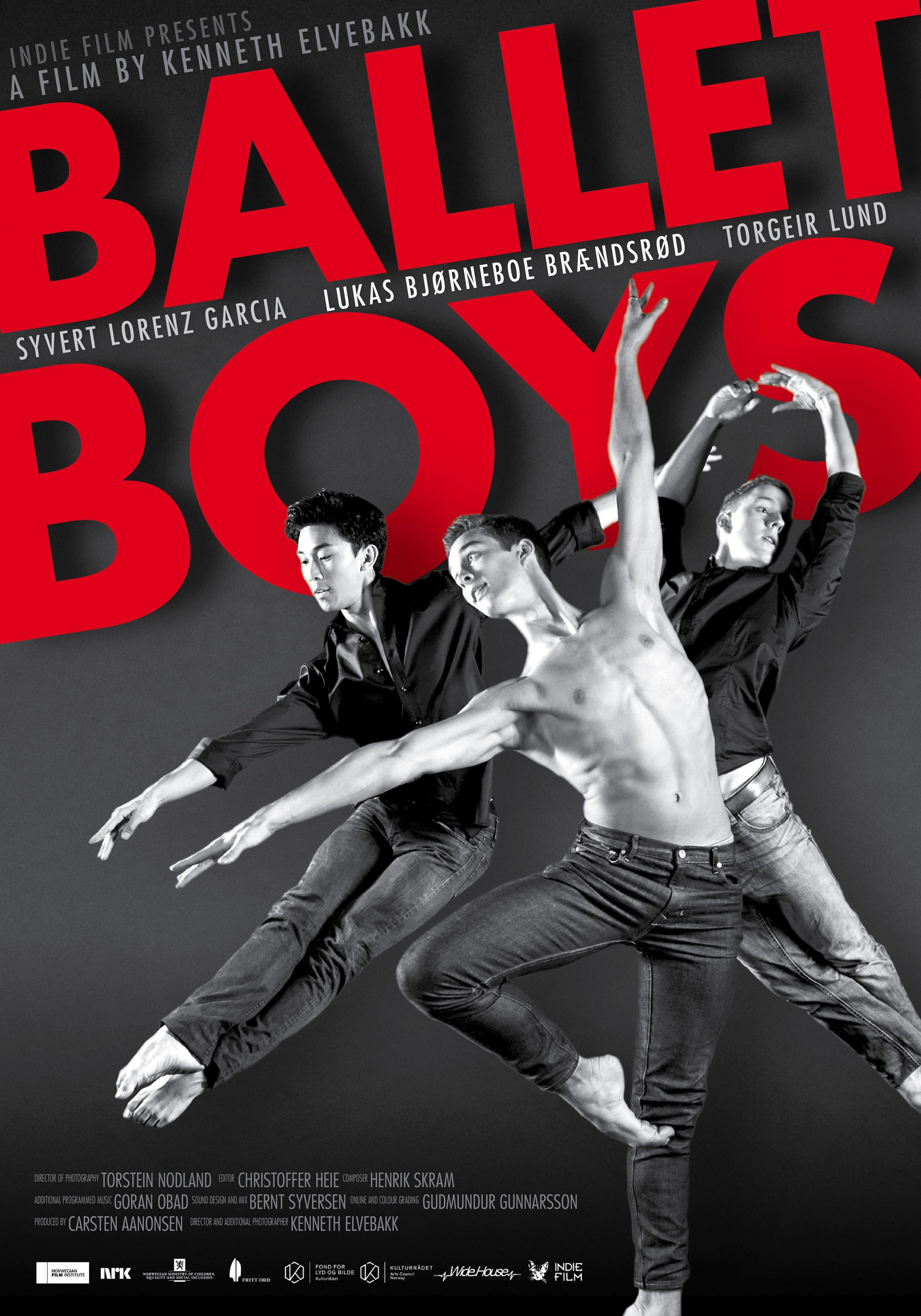 Mega Sized Movie Poster Image for Ballet Boys 