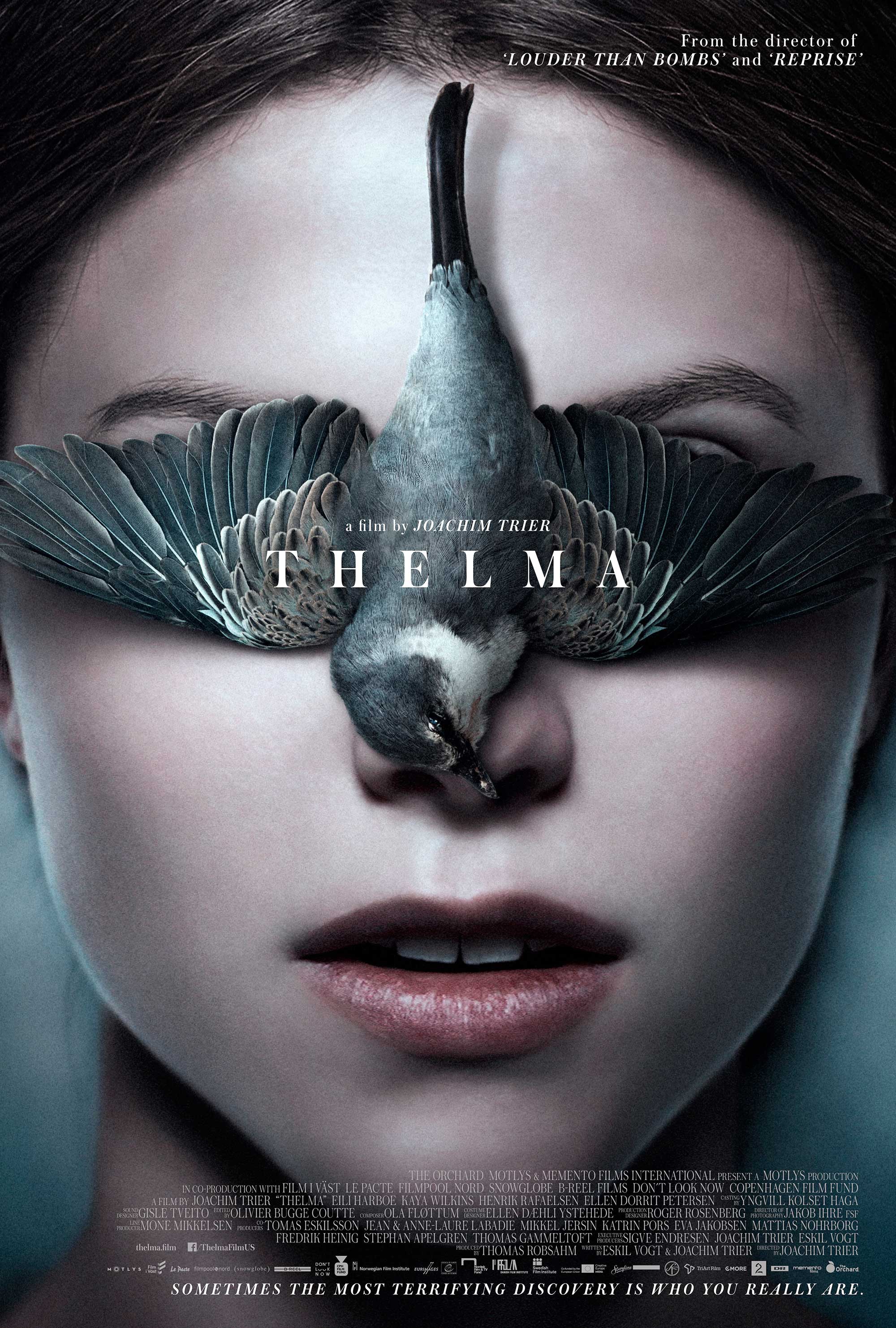 Mega Sized Movie Poster Image for Thelma (#2 of 6)