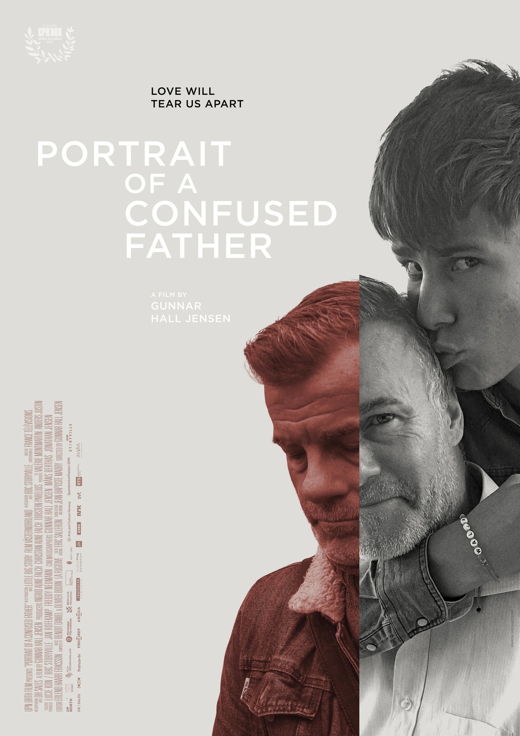 Extra Large Movie Poster Image for Portrait of a Confused Father 