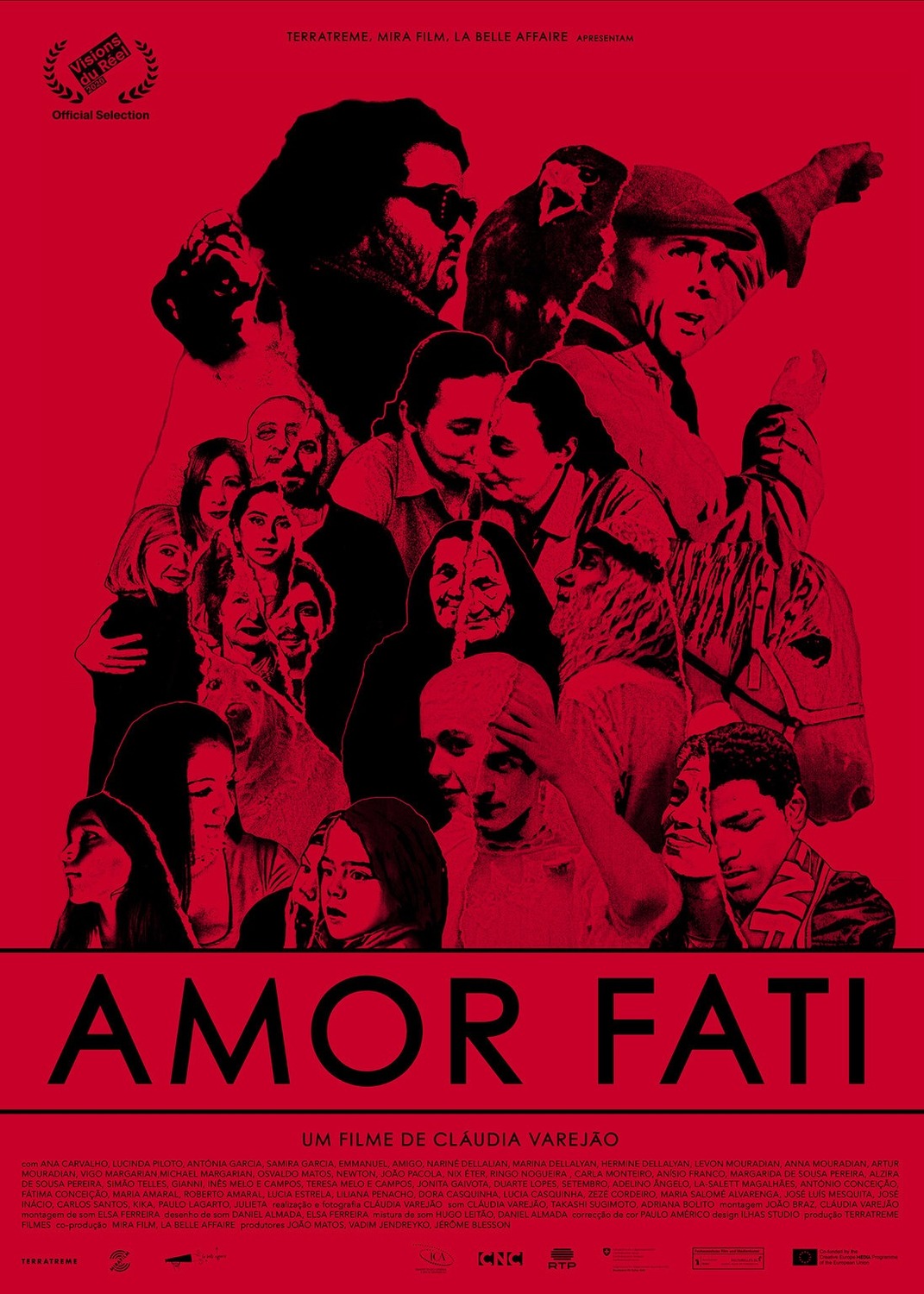 Extra Large Movie Poster Image for Amor Fati 